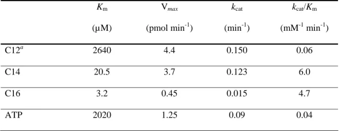 Table S1. Kinetic Parameters of FadD32 for Fatty Acid Substrates and ATP  K m (µM)  V max (pmol min -1 )  k cat(min -1 )  k cat /K m(mM-1  min -1 )  C12 a  2640  4.4  0.150  0.06  C14  20.5  3.7 0.123 6.0  C16 3.2  0.45  0.015  4.7  ATP  2020 1.25 0.09 0.0