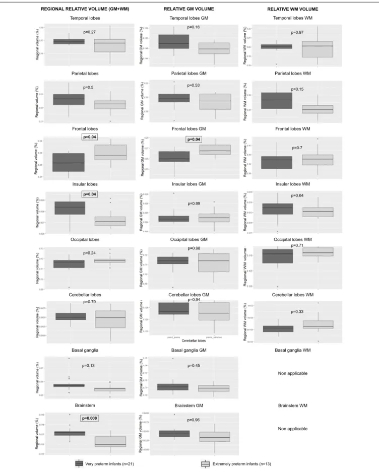 FIGURE 4 | Relative regional, GM and WM volumes according to degree of prematurity. GM: gray matter; WM: white matter