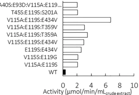 Fig 4. Malate kinase activities of the nine positive clones identified by screening of crude cell extracts