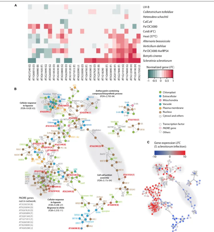 FIGURE 6 | Response to multiple pathogens and co-expression network for AtPADRE genes