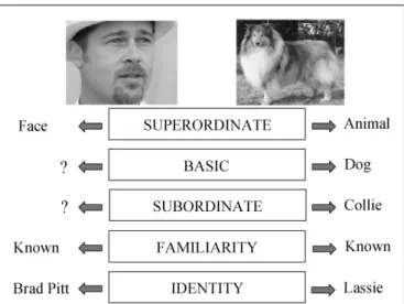 FIGURE 1 | Adaptation of Rosch’s model (Rosch, 1975). Different levels of processing. The picture on the right can be recognized (1) as an “animal,”