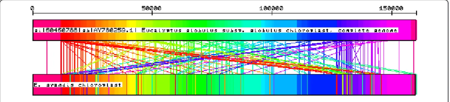 Figure 4 CSA algorithm output showing the conserved sequences identified between the E