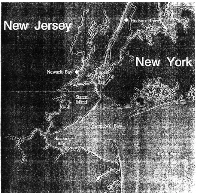 Figure 4-2:  New  York/New  Jersey Project Area  (NJDEP  1997)