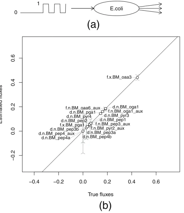 Fig 5. Comparison of estimated and true fluxes in a simulated RPP experiment. (a) Scheme of RPP experiment on E