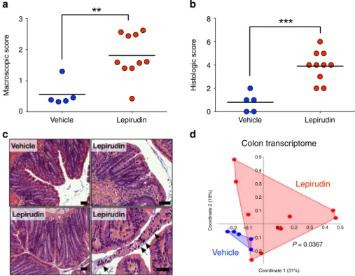 Fig. 3 Intestinal homeostasis is compromised by inhibition of thrombin activity in colon lumen
