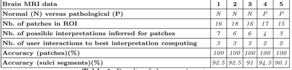 Table 1. Results of the experiments