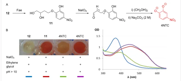 Figure 2: (A) Spectrometric monitoring (at 530 nm) of 4NTC released after the action of Fae on 12 in the presence of sodium periodate and (B) control reactions of the discontinuous assay of the Fae-mediated hydrolysis of 12