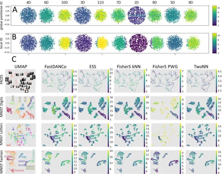 Fig. 3. Visualization of local ID measures on 2D layouts of synthetic (A,B) and real (C) datasets