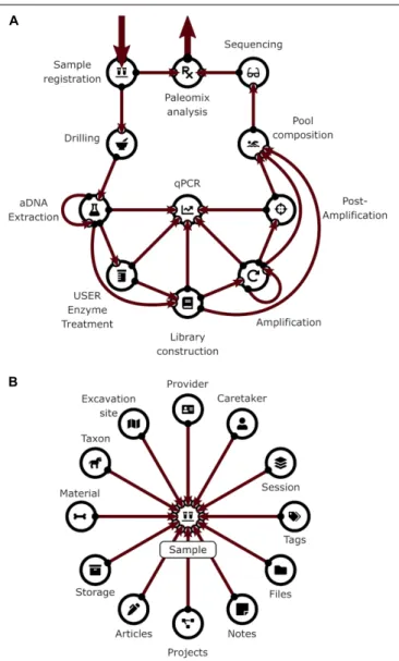 FIGURE 1 | (A) Pipeline backbone graph showing the flow of experimental data through CASCADE