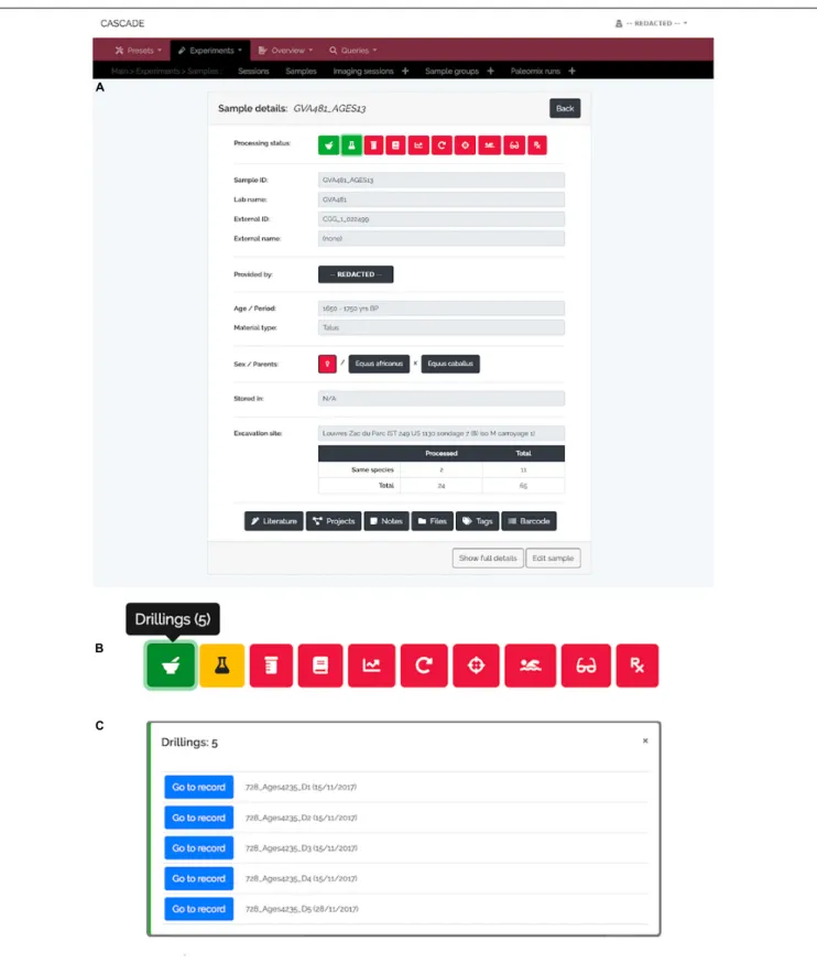 FIGURE 3 | Sample detail view and status bar. (A) For each sample, a “Detail view” is available that summarizes the most important details about a given sample.