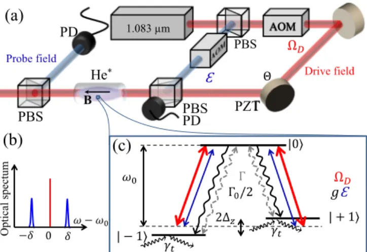 FIG. 1. (a) Experimental setup. The laser is split by a polarizing beam splitter (PBS) to obtain the orthogonally polarized pump (  D , red) and probe ( E , blue) fields