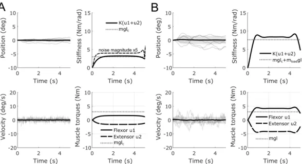Figure 1. Co-contraction during maintenance of an upright forearm posture. A. Position, velocity, elbow joint stiffness and individual muscle torques are depicted for the unloaded case