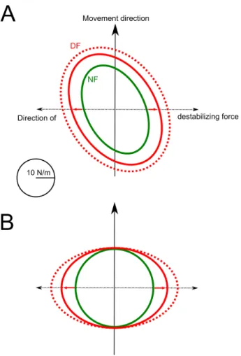 Figure 5. Endpoint stiffness geometry at the midpoint of movement path. A. Case of the 6-muscles model with detailed results reported in Figure 4