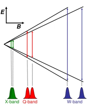 Figure 1.1: Two species of different g-values are very difficult to distinguish at the X-band frequency.