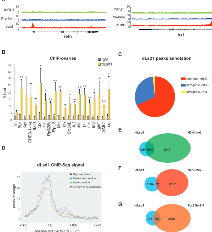 Figure 1. dLsd1 binding is enriched at TSS. (A) Integrated Genome Browser (IGB) screenshots of two dLsd1 enriched sites