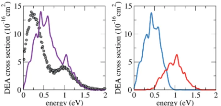 Fig. 4 Calculated DEA cross section for iodoethene (purple), when starting from the lower (blue) or the upper (red) anion states, compared to available experimental data (grey dots)