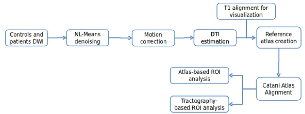 Fig. 1: Overall processing pipeline for DTI-based study of Specific Language Impairment.
