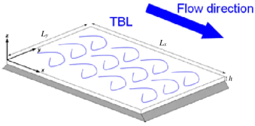 Fig. 1. Baffled simply supported plate excited by a homogeneous and stationary TBL.