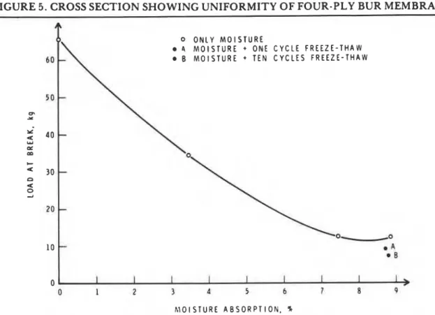 FIGURE 5 .  CROSS SECTION SHOWING UNIFORMITY OF FOUR-PLY BUR MEMBRANE. 