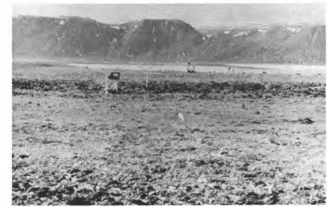 Fig.  2  Beach  r~dge  thermocouple cable saes-north  slope on left,  top m centre, south slope on nght,  Julv  1971