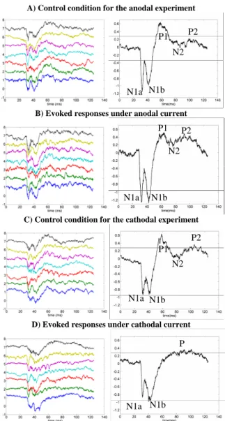 Figure 2: Coupling model between a subpopulation of neurons in  the neural mass model and the electric field resulting from the  externally-applied stimulation (tDCS)