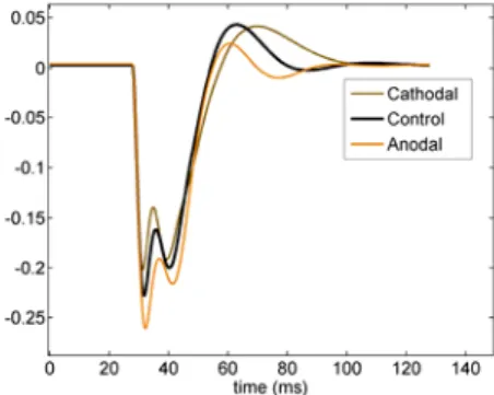 Figure 5 illustrates three EPs simulated in the model  under cathodal, control and anodal conditions
