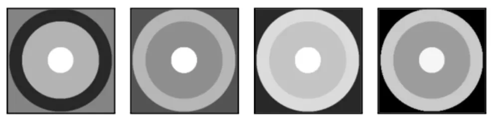 Fig. 1. The synthetic phantom. From left to right: B 1 , T 1 , T 2 and M 0 reference maps.