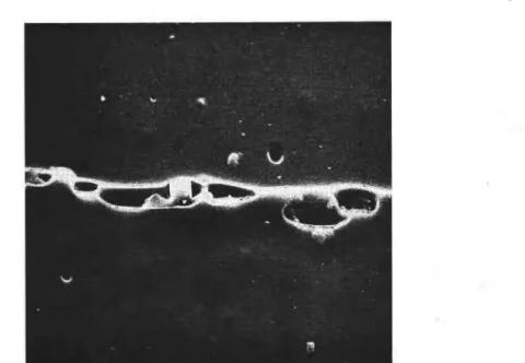Fig.  8.  Scanning  electron  micrograph of a  replica  of vertical  section  of brine pockets  at  -30°C