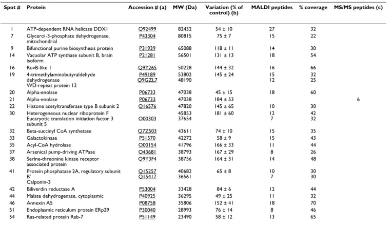 Table 2: Proteins whose abundance in SH-SY5Y cells is regulated after 24 h of morphine treatment
