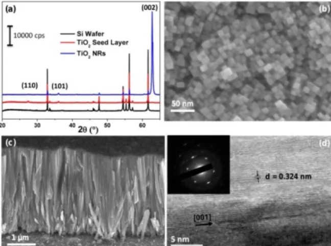 Figure 1: (a) XRD patterns of different films (b and c) SEM images of TiO 2 