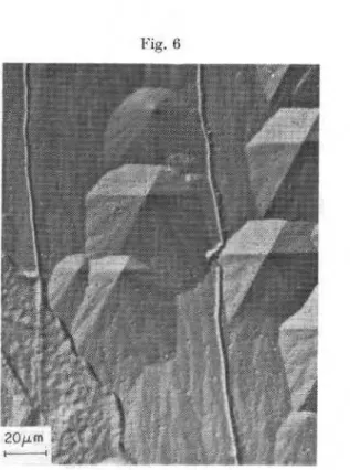 Figure  6  shows a  small area that was  typical  of  the replica  obtained  from  this  experiment