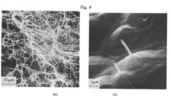 Figure  10  ( a )   shows  whiskers  produced  a t   the  bottom  and  side  surfaces  of  an  evaporation  etch-pit  on  a  (0001) plane