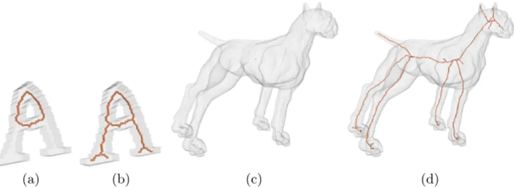 Fig. 5. Skeletons obtained by using SeqThinningScheme. (a,c): ultimate skeletons. We set Skel X (x) = False for all x