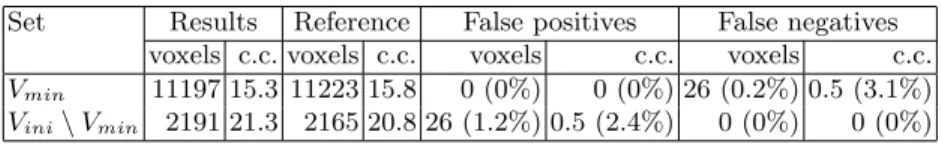 Table 1. Validations of the labeling step. Mean values of the classification obtained by the method (Results) compared to the real classification of the connected components (c.c.) of V ini (Reference).