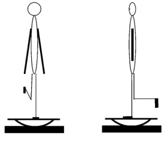 Figure 1. The seesaw (Stabilome`tre) device is laid on the force platform (full rectangle)