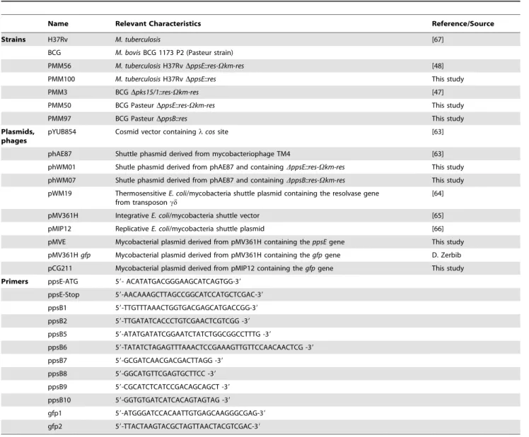 Table 1. Name and main features of strains, plasmids, and primers used in this study.