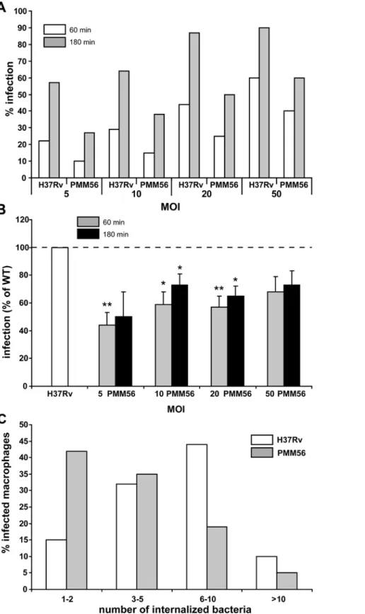 Figure 1. DIM are involved in the infection of human macrophages by Mtb: MDMs were incubated with H37Rv WT or a DIM-less PMM56 mutant and processed for counting by fluorescence microscopy