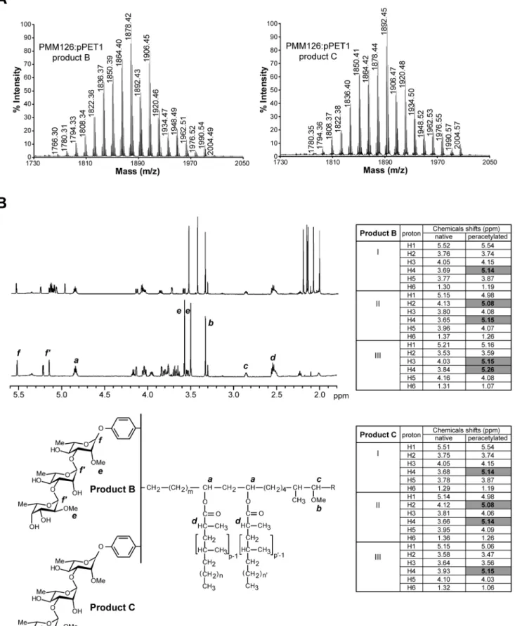 Figure 5. Biochemical analysis of products B and C from the PMM126:pPET1 mutant. (A) MALDI-TOF mass spectra of purified product B (left panel) and of purified product C (right panel) from the PMM126:pPET1 mutant strain