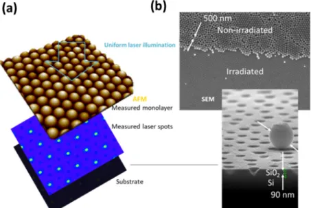 Figure 6a shows, by atomic force microscopy (AFM), the hexagonal periodic arrangement of functionalized spheres (1 µm diameter) as obtained by this method