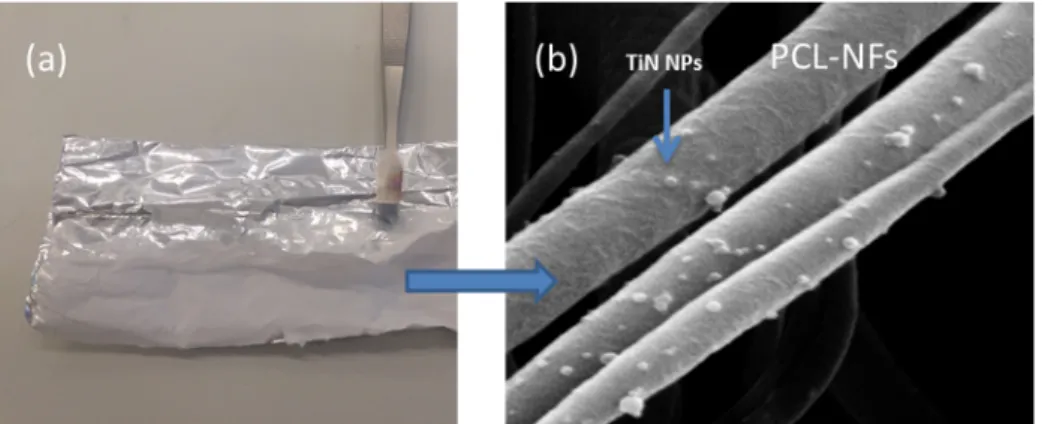 Figure 4. Illustrative image of polycaprolactone nanofibers decorated with TiNNPs elaborated by  the PLAL process (a) with its corresponding SEM (Scanning electron microscopy) micrograph (b)