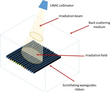 Fig. 1. Schematic view of the QA system based on scintillating wave-guides (integrating the dose).