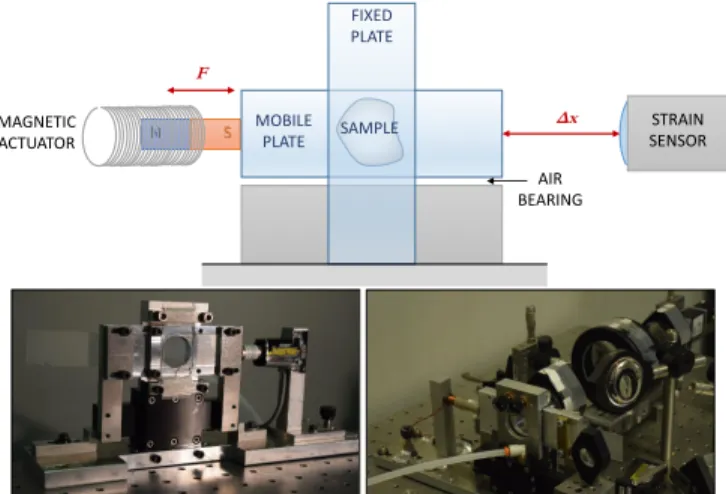 Figure 1. Top: scheme of the experimental setup. Bottom left: the shear cell. Bottom right: the shear cell coupled to the small angle static and dynamic light scattering setup described in Ref