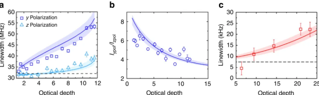 Figure 3 | Transverse scattering. (a) Linewidth broadening for the blue transition in the transverse direction for ^ y polarization (open squares) and ^ z polarization (open triangles)