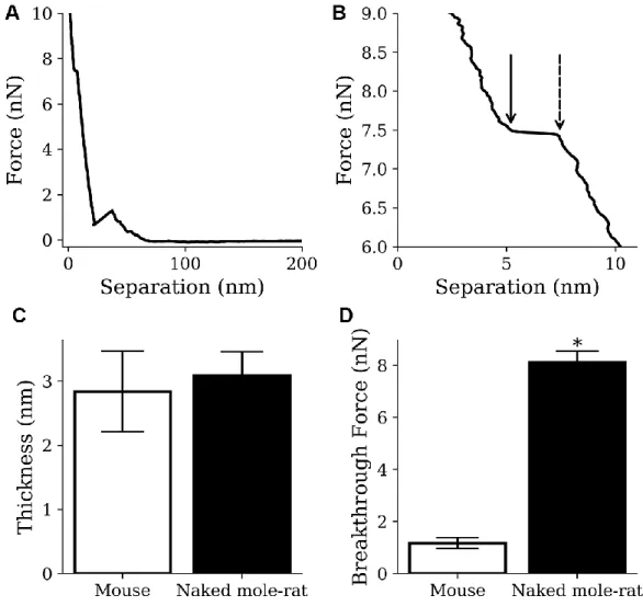 Figure 6. AFM results from mouse samples (n=1220) and naked mole-rat samples (n=2859) lipid bilayer indentations