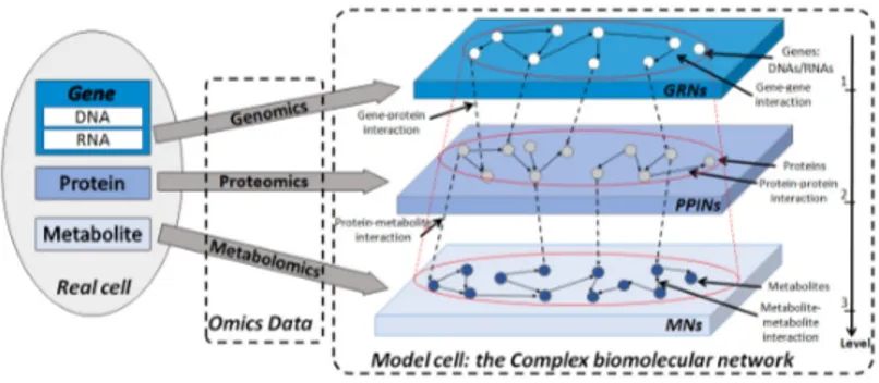 Fig. 2. Multi-level modeling of a biomolecular network from a real cell.