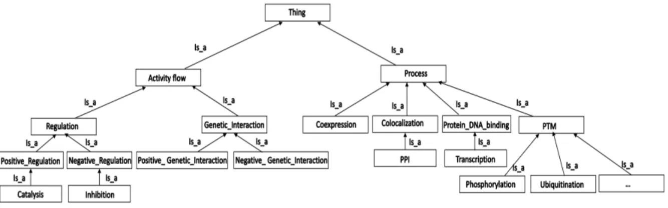 Fig. 3. A subset of the taxonomy of the Interaction Ontology 20 .