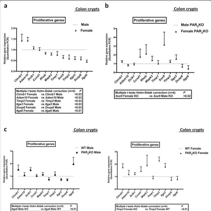 Fig. 4 Expression of proliferative signals for colon primitive cells in PAR 2 WT or KO male and female crypts