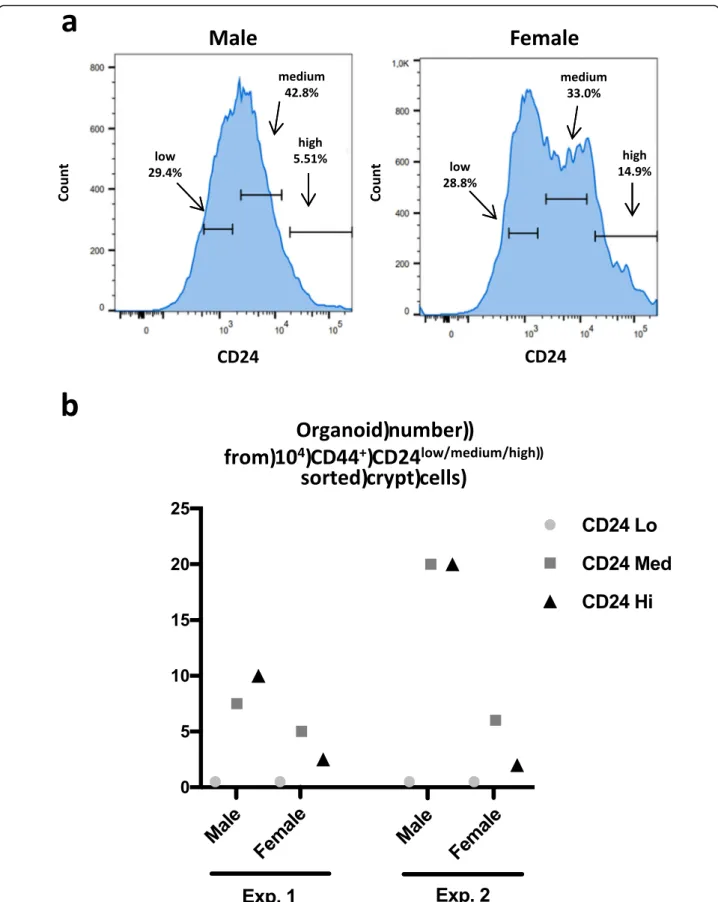Fig. 6 a A cell sorting of CD44 + CD24 + primitive cells was performed from male and female colon crypts
