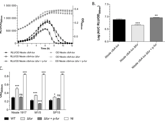 FIG 4 Fur regulates the transcription of clbA and colibactin biosynthesis. (A) Growth curves (OD 600 ) and the RLU/OD 600 of strains Nissle 1917 clbA-lux, Nissle 1917 clbA-lux ⌬ fur, and Nissle 1917 clbA-lux ⌬ fur ⫹ p-fur grown at 37°C in DMEM-HEPES