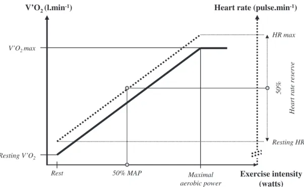 Fig. 2. Definition of endurance exercise: relationship between oxygen consumption (V 0 O2 ), heart rate (HR), and power (P) during an incremental exercise testing procedure